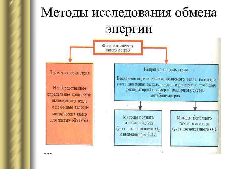 Методы исследования обмена энергии 