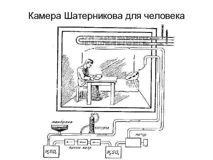 Камера Шатерникова для человека 