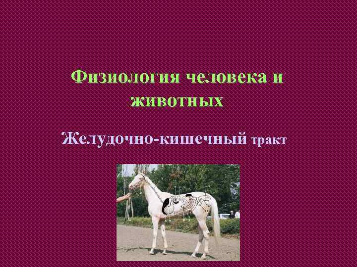 Физиология человека и животных Желудочно-кишечный тракт 