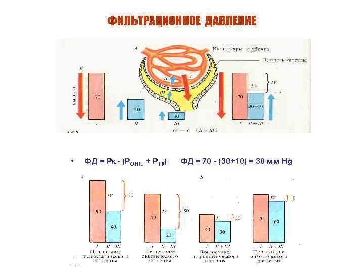 ФИЛЬТРАЦИОННОЕ ДАВЛЕНИЕ • ФД = Рк - (РОНК. + РТК) ФД = 70 -