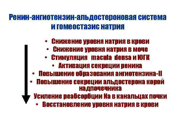 Ренин-ангиотензин-альдостероновая система и гомеостазис натрия • Снижение уровня натрия в крови • Снижение уровня