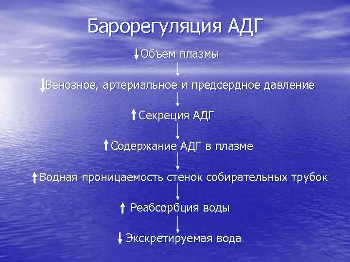 Барорегуляция АДГ Объем плазмы Венозное, артериальное и предсердное давление Секреция АДГ Содержание АДГ в