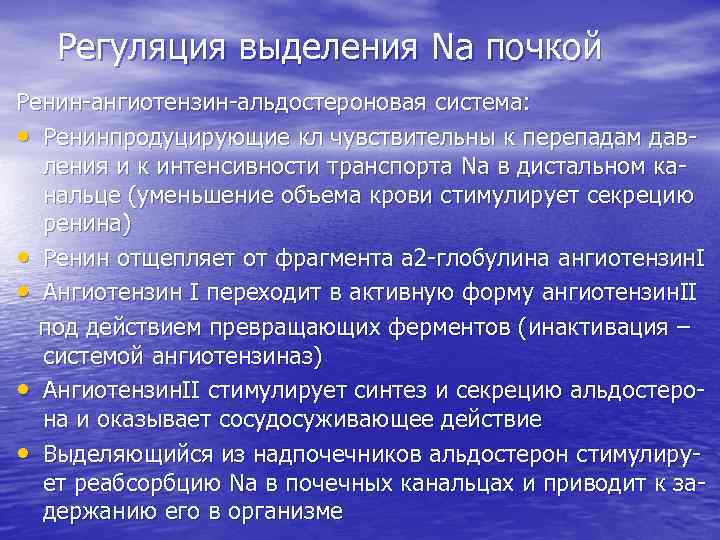 Регуляция выделения Na почкой Ренин-ангиотензин-альдостероновая система: • Ренинпродуцирующие кл чувствительны к перепадам давления и