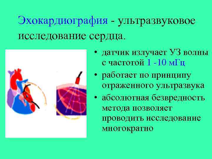 Эхокардиография - ультразвуковое исследование сердца. • датчик излучает УЗ волны с частотой 1 -10
