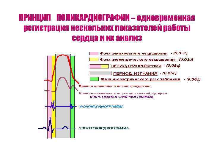 ПРИНЦИП ПОЛИКАРДИОГРАФИИ – одновременная регистрация нескольких показателей работы сердца и их анализ 