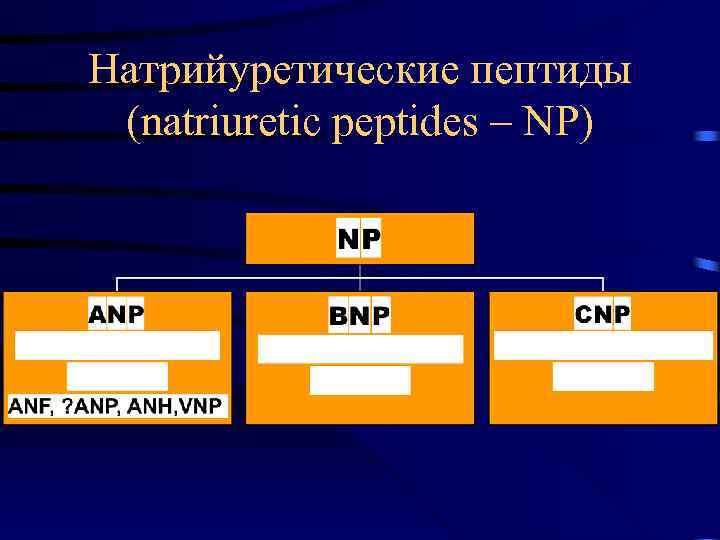 Анализ натрийуретический пептид 32 мозга. Натрий уретич пептид. Мозговой натрийуретический пептид. Норма натрийуретического пептида. Мозговой натрийуретический пептид BNP норма.