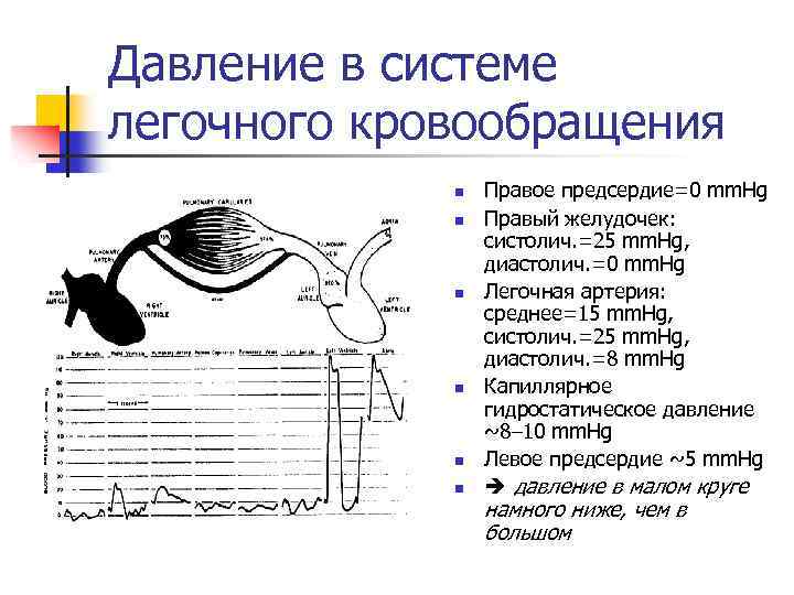 Давление в системе легочного кровообращения n n n Правое предсердие=0 mm. Hg Правый желудочек: