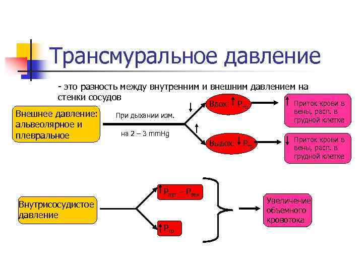 Трансмуральное давление - это разность между внутренним и внешним давлением на стенки сосудов Внешнее