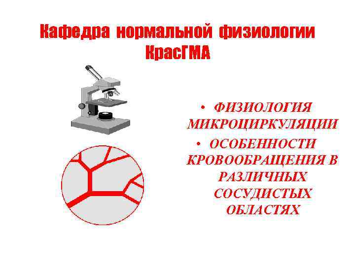 Кафедра нормальной физиологии Крас. ГМА • ФИЗИОЛОГИЯ МИКРОЦИРКУЛЯЦИИ • ОСОБЕННОСТИ КРОВООБРАЩЕНИЯ В РАЗЛИЧНЫХ СОСУДИСТЫХ