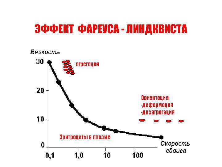 ЭФФЕКТ ФАРЕУСА - ЛИНДКВИСТА 