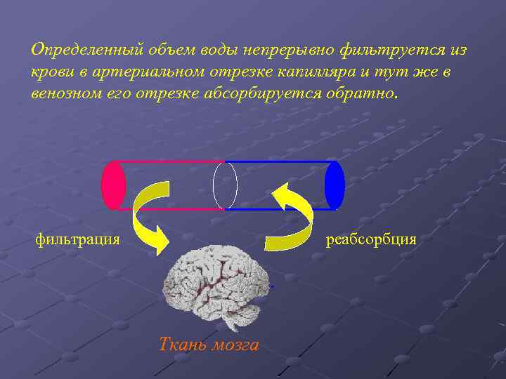 Определенный объем воды непрерывно фильтруется из крови в артериальном отрезке капилляра и тут же