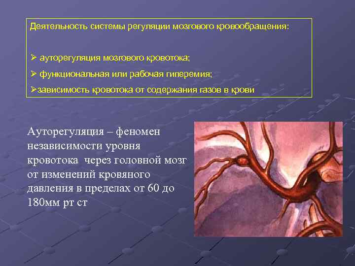 Деятельность системы регуляции мозгового кровообращения: Ø ауторегуляция мозгового кровотока; Ø функциональная или рабочая гиперемия;