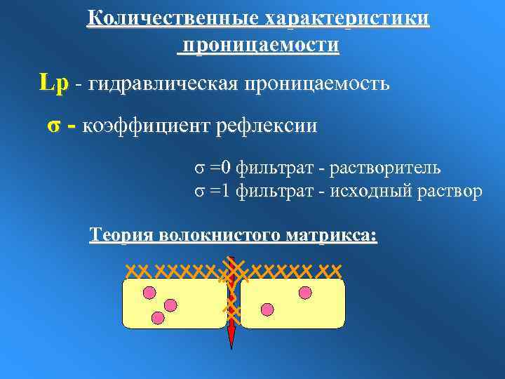 Количественные характеристики проницаемости Lp - гидравлическая проницаемость σ - коэффициент рефлексии σ =0 фильтрат