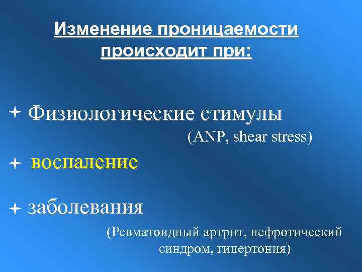 Изменение проницаемости происходит при: Физиологические стимулы (ANP, shear stress) воспаление заболевания (Ревматоидный артрит, нефротический