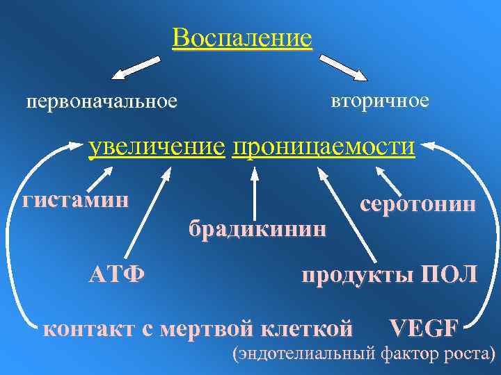 Воспаление вторичное первоначальное увеличение проницаемости гистамин брадикинин АТФ серотонин продукты ПОЛ контакт с мертвой