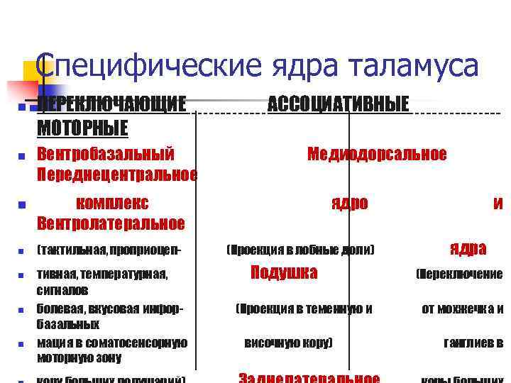 Специфические ядра таламуса n n n n ПЕРЕКЛЮЧАЮЩИЕ МОТОРНЫЕ Вентробазальный Переднецентральное АССОЦИАТИВНЫЕ Медиодорсальное комплекс