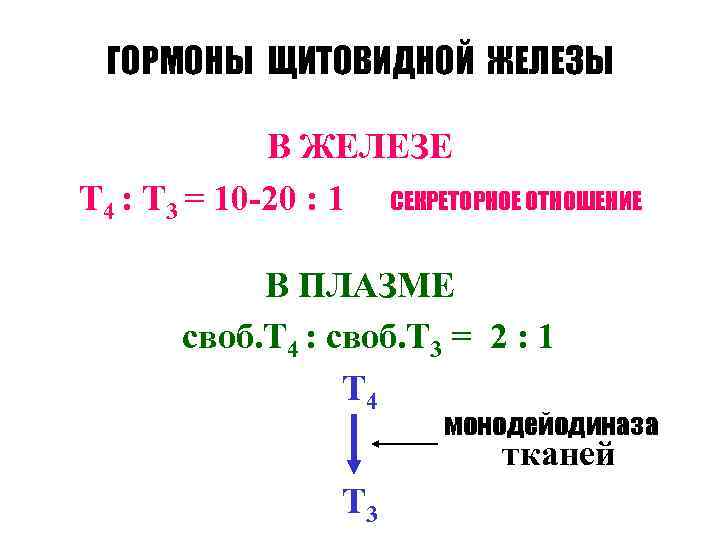 ГОРМОНЫ ЩИТОВИДНОЙ ЖЕЛЕЗЫ В ЖЕЛЕЗЕ Т 4 : Т 3 = 10 -20 :