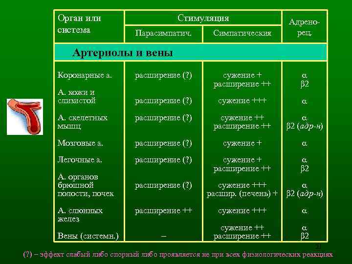 Орган или система Стимуляция Парасимпатич. Симпатическия Адренорец. Артериолы и вены Коронарные а. расширение (?