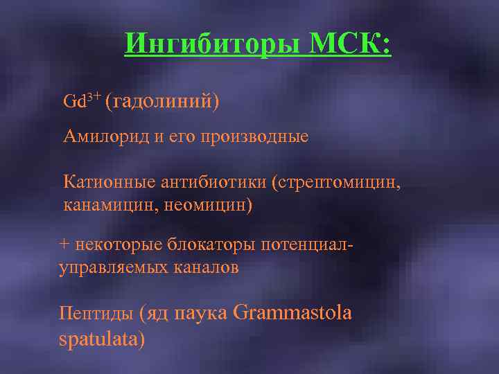 Ингибиторы МСК: Gd 3+ (гадолиний) Амилорид и его производные Катионные антибиотики (стрептомицин, канамицин, неомицин)