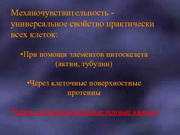 Механочувствительность универсальное свойство практически всех клеток: • При помощи элементов цитоскелета (актин, тубулин) •