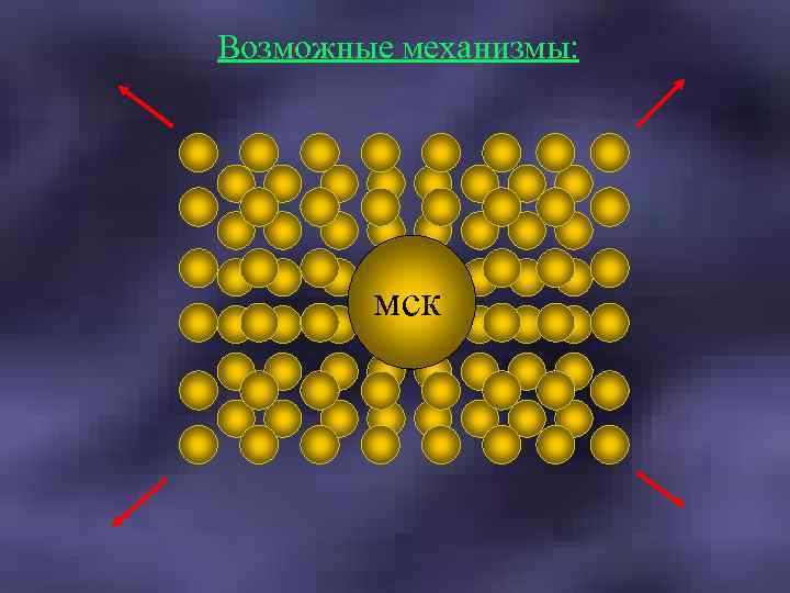 Возможные механизмы: мск 