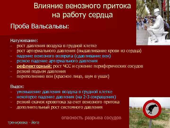 Влияние венозного притока на работу сердца Проба Вальсальвы: Натуживание: - рост давления воздуха в
