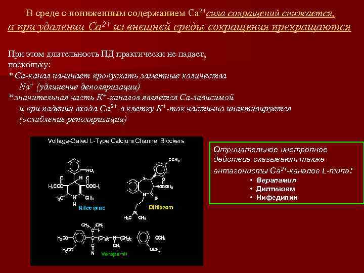 В среде с пониженным содержанием Ca 2+сила сокращений снижается, а при удалении Ca 2+