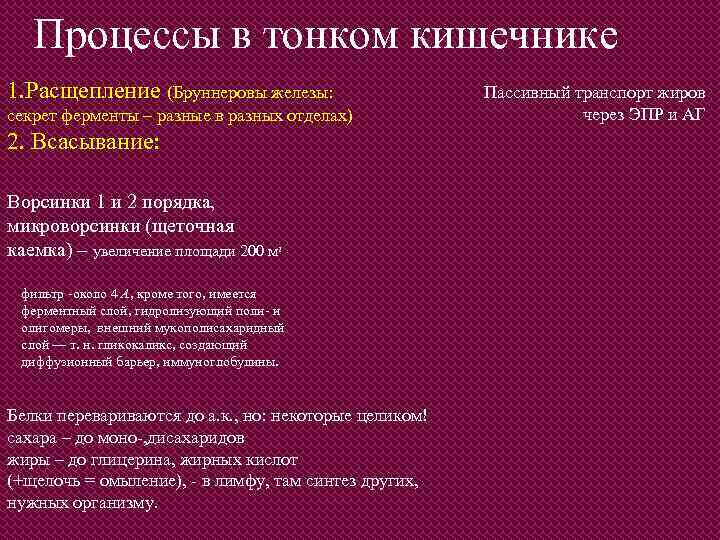 Процессы в тонком кишечнике 1. Расщепление (Бруннеровы железы: секрет ферменты – разные в разных