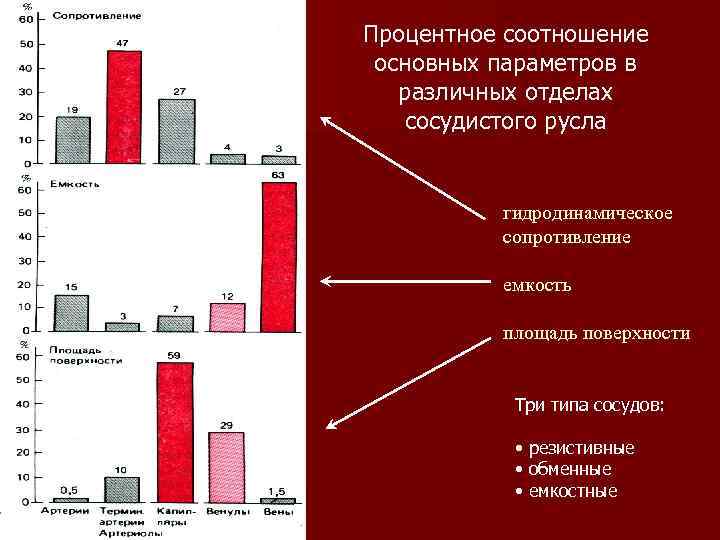 Процентное соотношение основных параметров в различных отделах сосудистого русла гидродинамическое сопротивление емкость площадь поверхности
