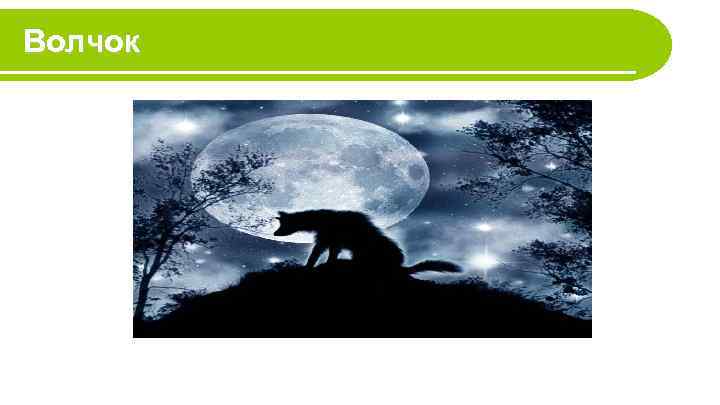Волчок 