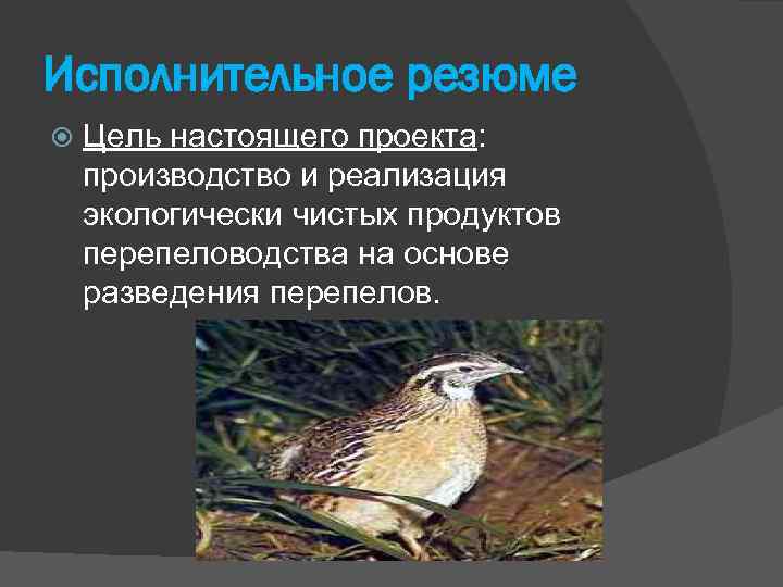 Исполнительное резюме Цель настоящего проекта: производство и реализация экологически чистых продуктов перепеловодства на основе