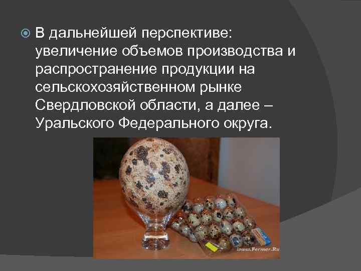  В дальнейшей перспективе: увеличение объемов производства и распространение продукции на сельскохозяйственном рынке Свердловской