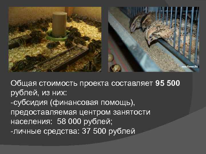 Общая стоимость проекта составляет 95 500 рублей, из них: -субсидия (финансовая помощь), предоставляемая центром