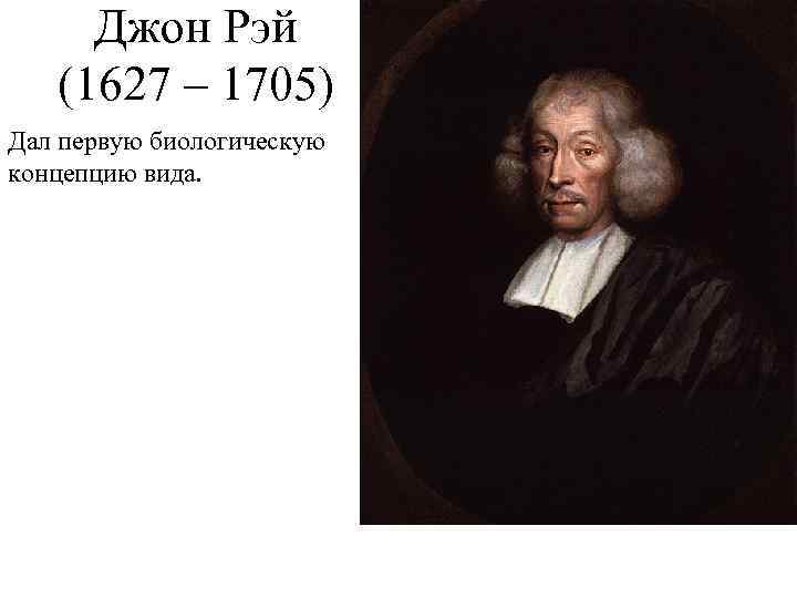 Джон Рэй (1627 – 1705) Дал первую биологическую концепцию вида. 