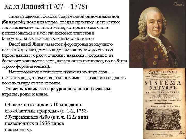 Карл Линней (1707 – 1778) Линней заложил основы современной биноминальной (бинарной) номенклатуры, введя в