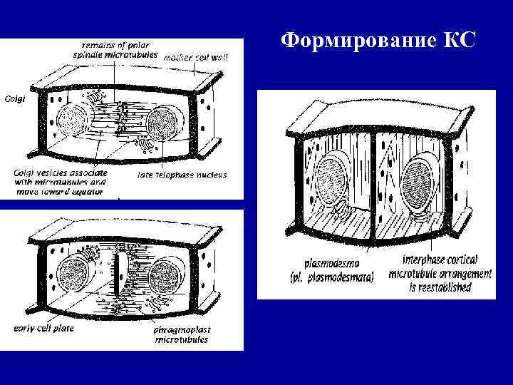 Формирование КС 