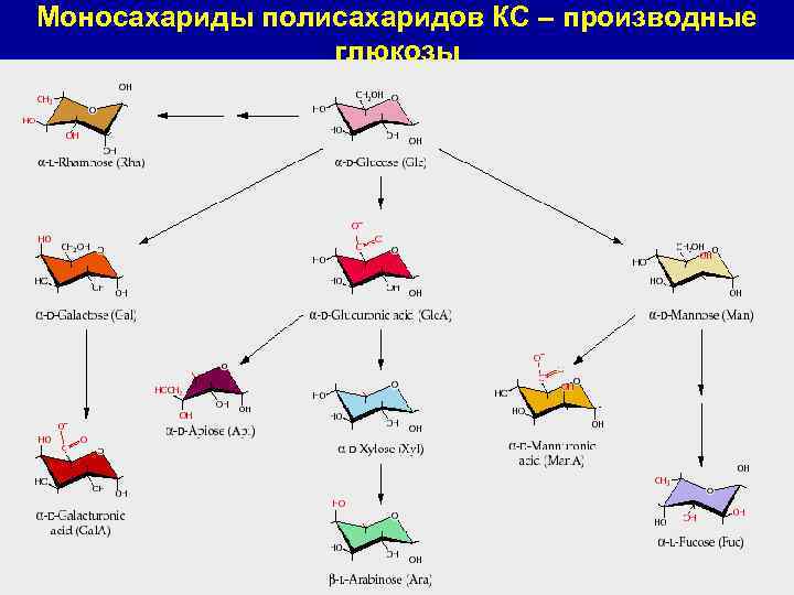 Моносахариды полисахаридов КС – производные глюкозы 