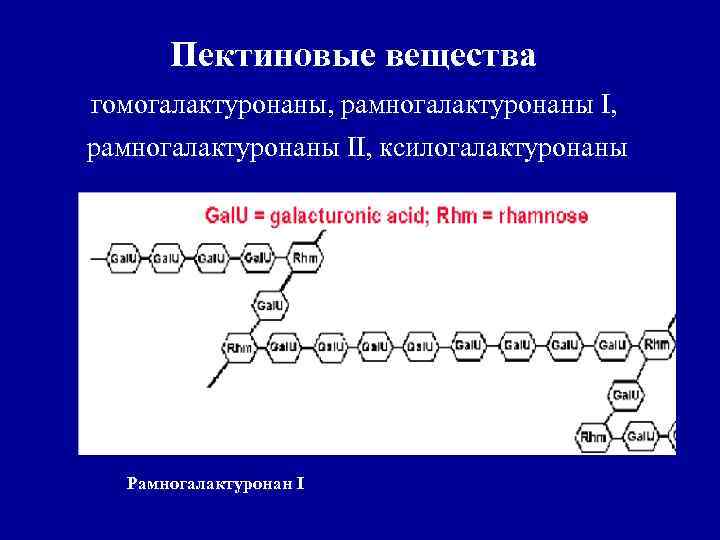 Пектиновые вещества гомогалактуронаны, рамногалактуронаны II, ксилогалактуронаны Рамногалактуронан I 