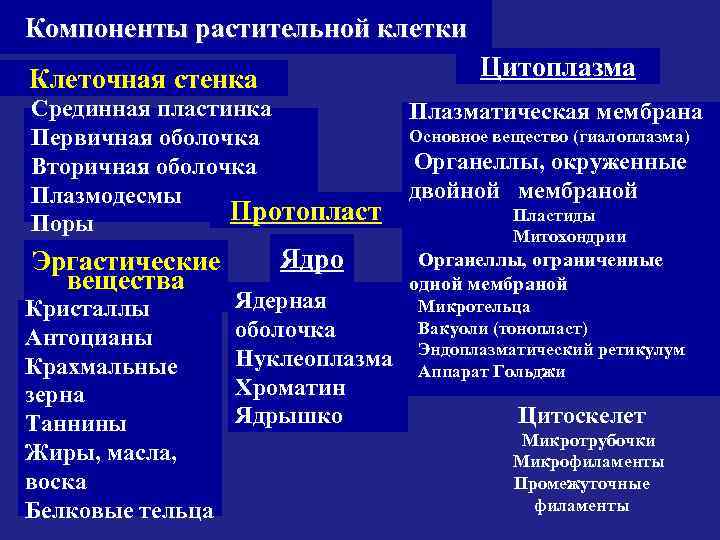 Компоненты растительной клетки Цитоплазма Клеточная стенка Срединная пластинка Первичная оболочка Вторичная оболочка Плазмодесмы Протопласт