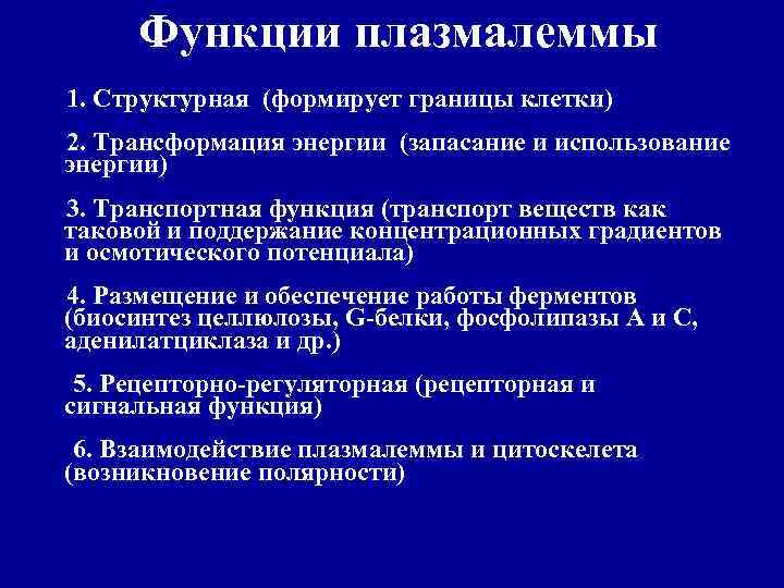 Функции плазмалеммы 1. Структурная (формирует границы клетки) 2. Трансформация энергии (запасание и использование энергии)