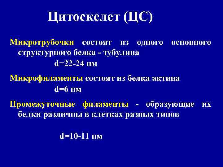 Цитоскелет (ЦС) Микротрубочки состоят из одного основного структурного белка - тубулина d=22 -24 нм