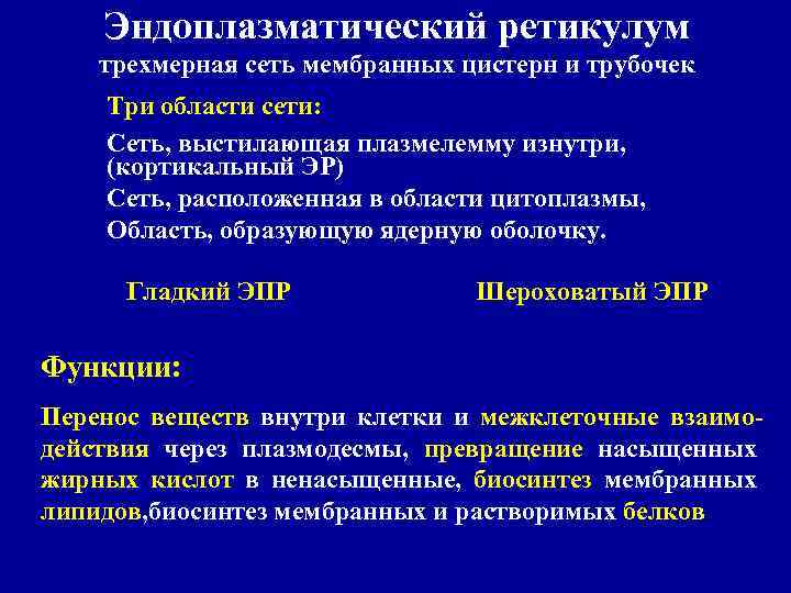 Эндоплазматический ретикулум трехмерная сеть мембранных цистерн и трубочек Три области сети: Сеть, выстилающая плазмелемму