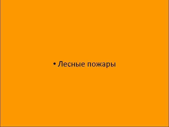  • Лесные пожары 