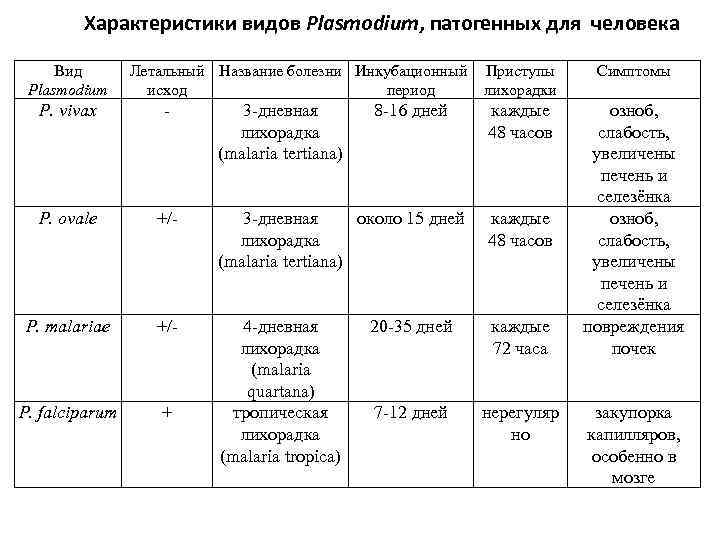 Характеристики видов Plasmodium, патогенных для человека Вид Plasmodium Летальный Название болезни Инкубационный исход период