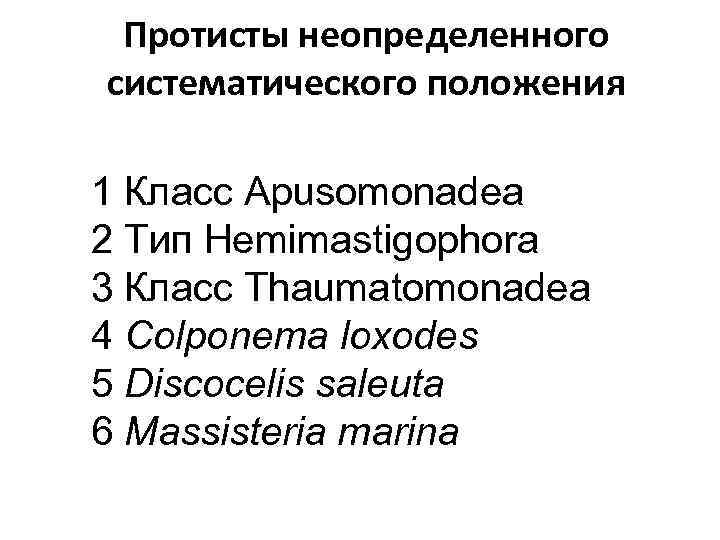 Протисты неопределенного систематического положения 1 Класс Apusomonadea 2 Тип Hemimastigophora 3 Класс Thaumatomonadea 4