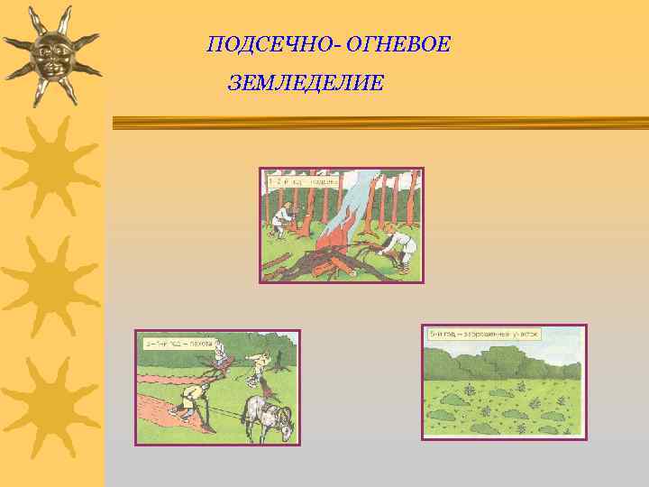 ПОДСЕЧНО- ОГНЕВОЕ ЗЕМЛЕДЕЛИЕ 
