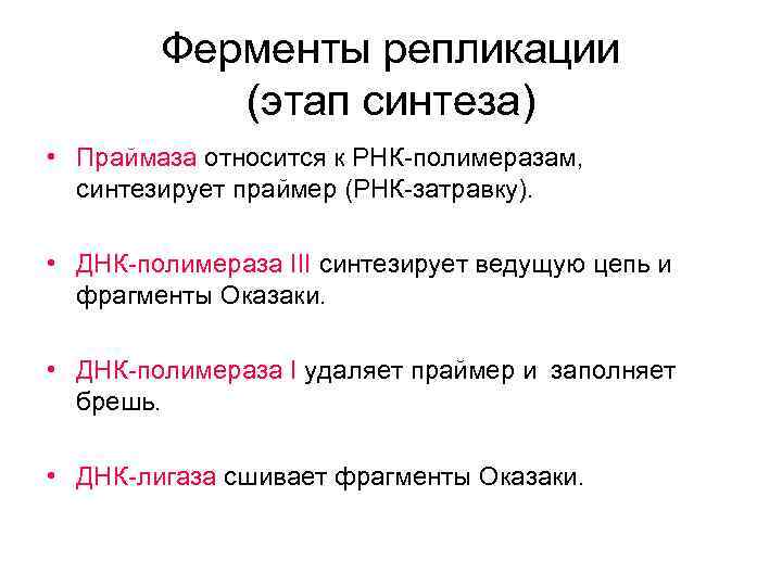 Ферменты репликации (этап синтеза) • Праймаза относится к РНК-полимеразам, синтезирует праймер (РНК-затравку). • ДНК-полимераза