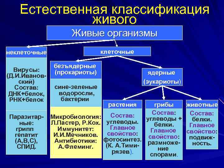 Презентация классификация живых организмов