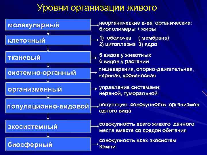 Оформите схему естествознание синтез наук