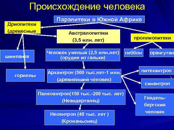 Схема система юридических наук в ворде